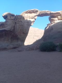 Wadi Rum for Nature - 7