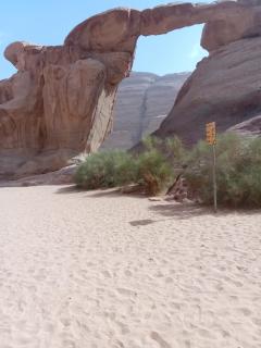 Wadi Rum for Nature - 6