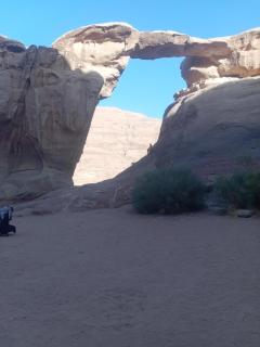 Wadi Rum for Nature - 4