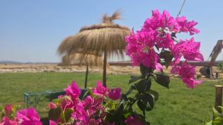 Dar Saouaf - 9