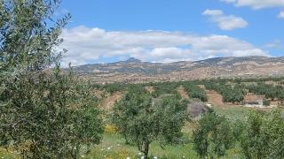 Dar Saouaf - 2