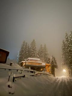 Pine & Peaks Alpine Cottage Lachtal 1650 m - 9
