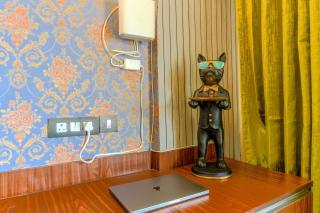 Serene studio by H&S - Dehradun - 0