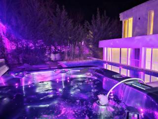 Luxe Villa Heated Winter pool & Jacuzzi - 9