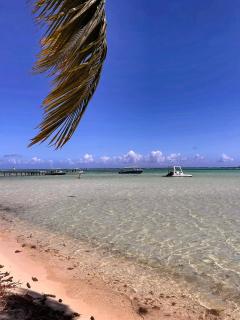 MOOREA - Tropical Soul - 6