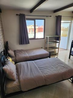 Tiny Nest Studio - 5
