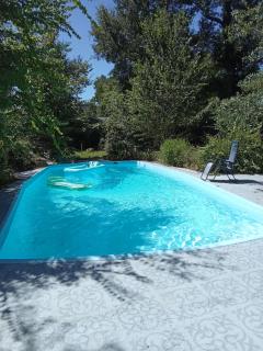 Private Country Guest Suite Near The Woodlands - Conroe - 8