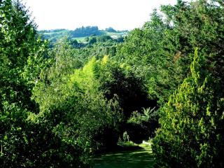 La Francigena - Staggia - 6