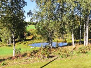4 star holiday home in ÅRJÄNG - 5