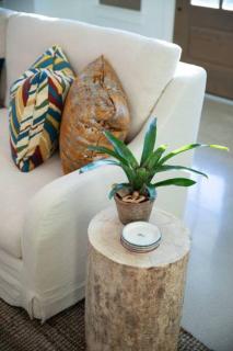 NEW urban cottage The Vine - Round Top - 5