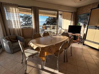 Appartement spacieux à Évian, animaux admis - 0