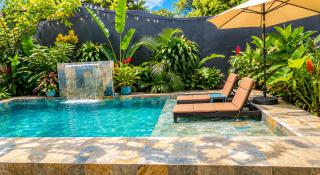 Poolside Palms Caribe - 5