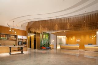 Hilton Garden Inn Zhengzhou Zhengdong New District - 7