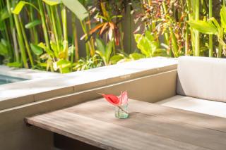 Ubud Mas Glamping Luxury Tent - 6