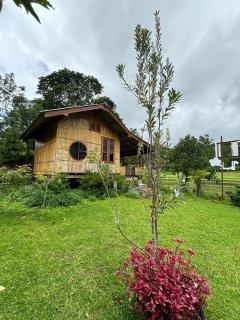 Pink pu coffee homestay พิงค์ภูโฮมสเตย์ - 2