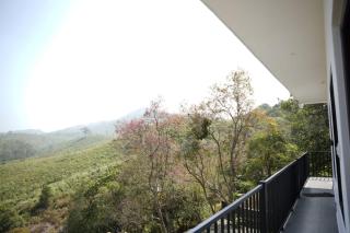 Vaga leaf hill view vagamon - 6