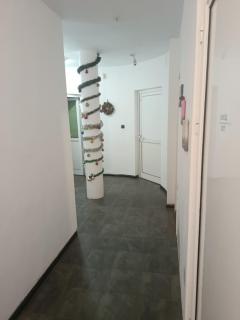 Орион - 6
