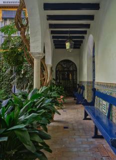 Waou Palacio Tenorio Santa Cruz - Sevilla - 6