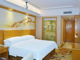 Vienna Hotel Shenzhen Bao'an Airport Taoyuanju Pingluanshan Metro Station - 8