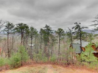 Mountain Escape - Dupont Springs - 8