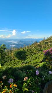 Leisure Mount Cottage -Haputale - 2