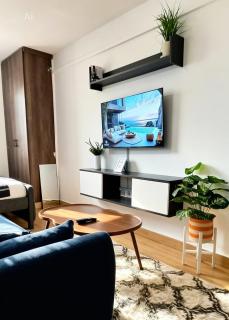 Modern Grey Haven Stylish Studio - 9