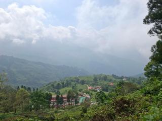 Koseli Inn - 6