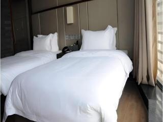 Chengdu Nine Point Art Hotel - 4
