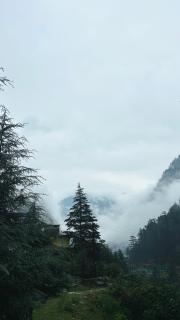 Swasthi cafe - 1