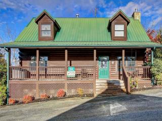 Papaw's Bear Den - Pigeon Forge - 9