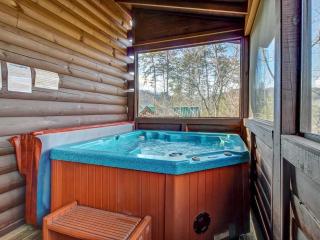 Papaw's Bear Den - Pigeon Forge - 5