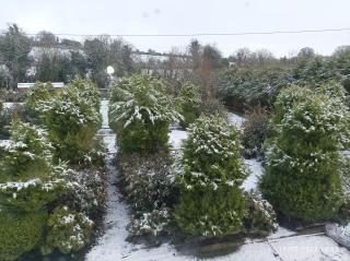 Welcome to Tunmobi Villa, its home away from home. - Ballyjamesduff - 9