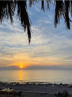Palm beach camp - 8
