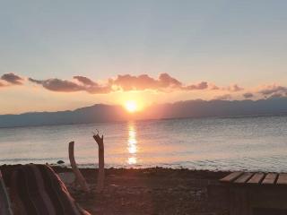 Palm beach camp - 4