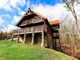 The Laughing Salamander - Dupont Springs - 9
