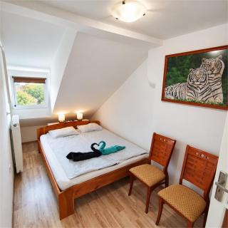 Abakusz apartmans free air conditioning & parking - 4