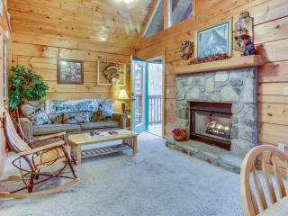 Wildwood - Pigeon Forge - 5
