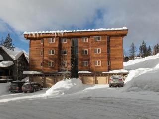 Black Diamond #1B - Vista - 4
