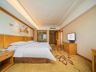 Vienna Hotel Chengdu Xinfan Furniture City - 1