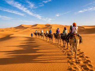 Galaxy Sahara Camp - 8