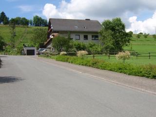 Haus Cristallo - Olsberg - 3