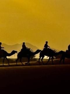 Kasbah Ksar Merzouga - 4