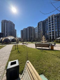 Avangard City - 7