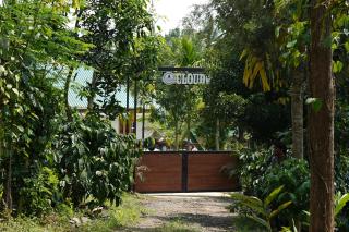 Cloudwood Resort, Wayanad - 1