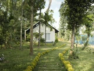 Cloudwood Resort, Wayanad - 6