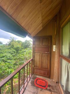 Nhà sàn gỗ Jrai view vườn cà phê xanh mát - 6