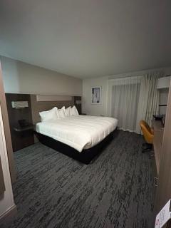 Park Inn - 8