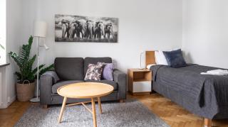 Södermalm Stockholm Cosy Apartment - 4
