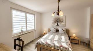 Appartement charmant à Loutzviller avec terrasse - 9