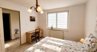 Appartement charmant à Loutzviller avec terrasse - 3